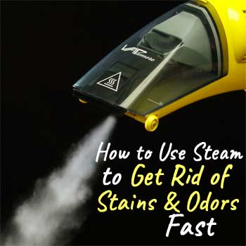 How to Steam Clean and Get Rid of Stains and Odors Fast from Car Seats and Upholstery